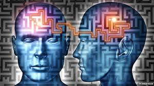 Brain reality.