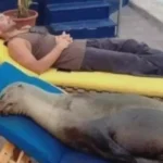 Pepita, the luckiest seal pup ever.