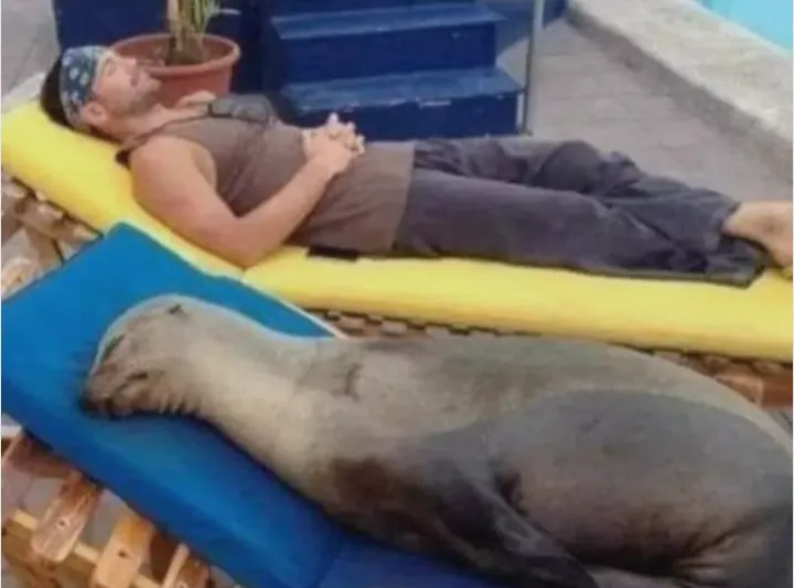 Pepita, the luckiest seal pup ever. 