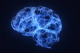 Use your brain or lose it seems to be the message.