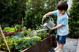 A dose of outdoor activity for lonely children 