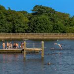 Staff bent over at Hampstead Heath ponds.