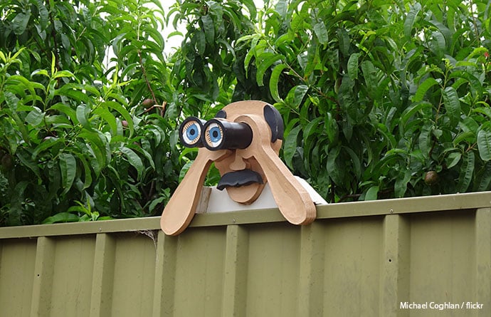 Grass on a neighbour.